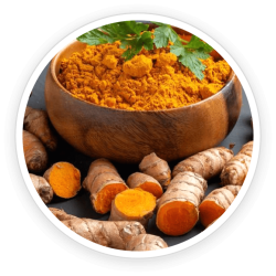 Turmeric Oil