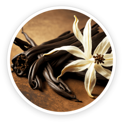 Vanilla Planifolia Fruit Extract